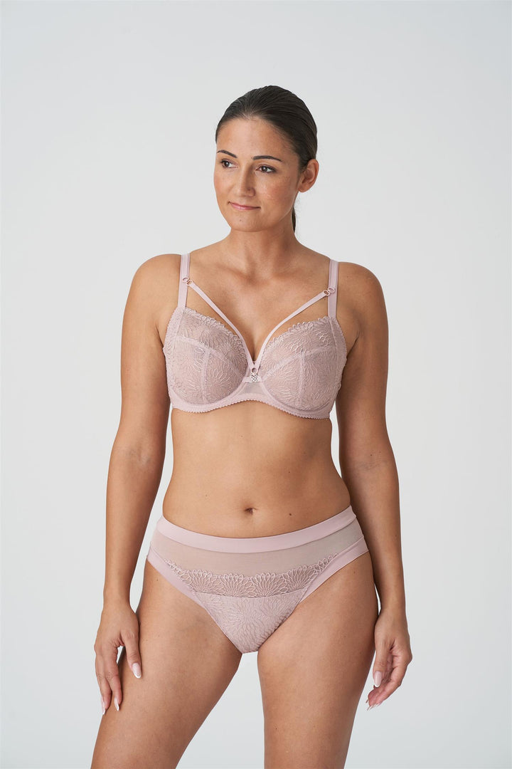 Sophora Rio Brief Bois De Rose