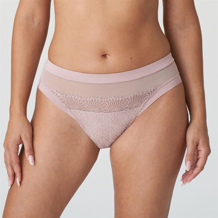 Sophora Rio Brief Bois De Rose