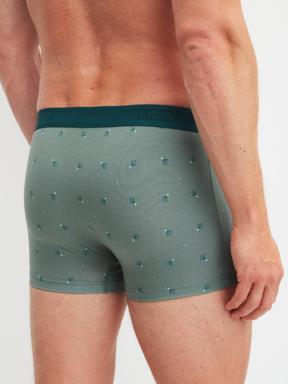 Grafic Cotton Boxer Laurel Green