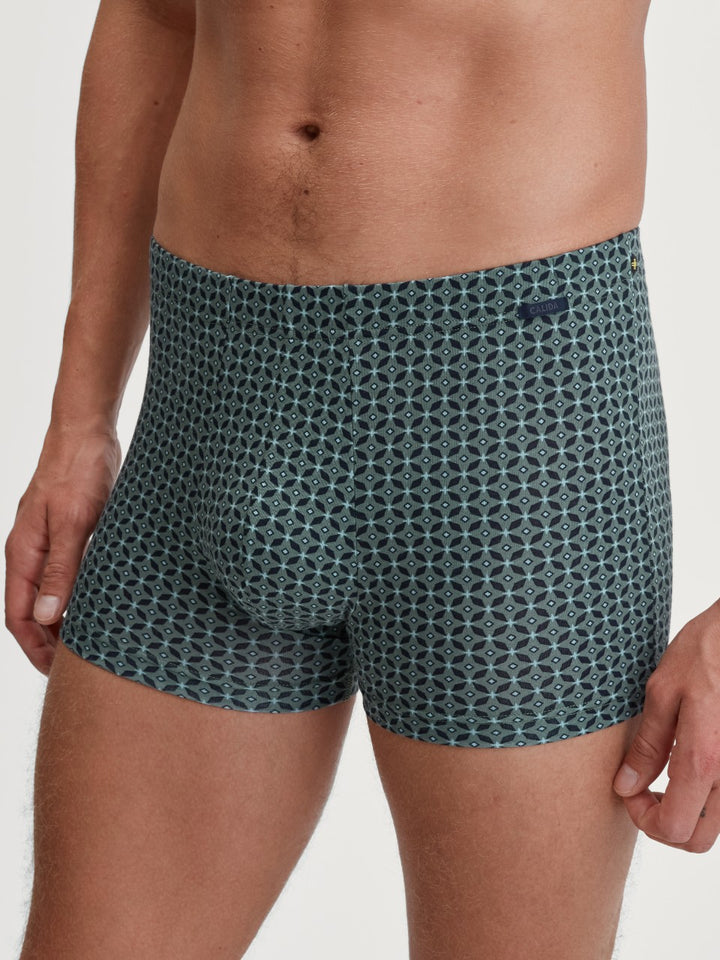Focus Trend Boxer Dark Glen