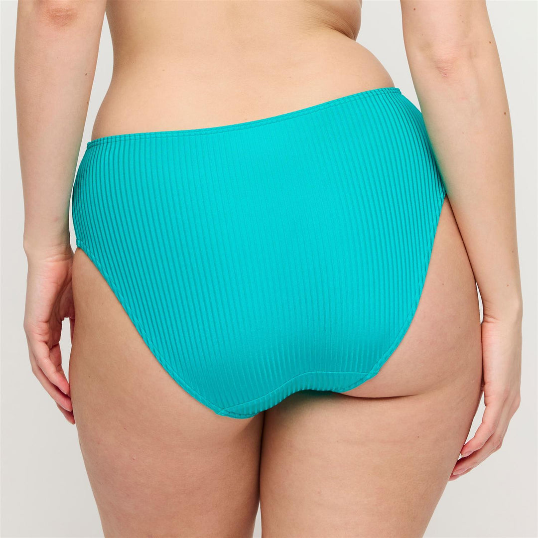 Delray Full Brief Bikinitruse Sea Turtle