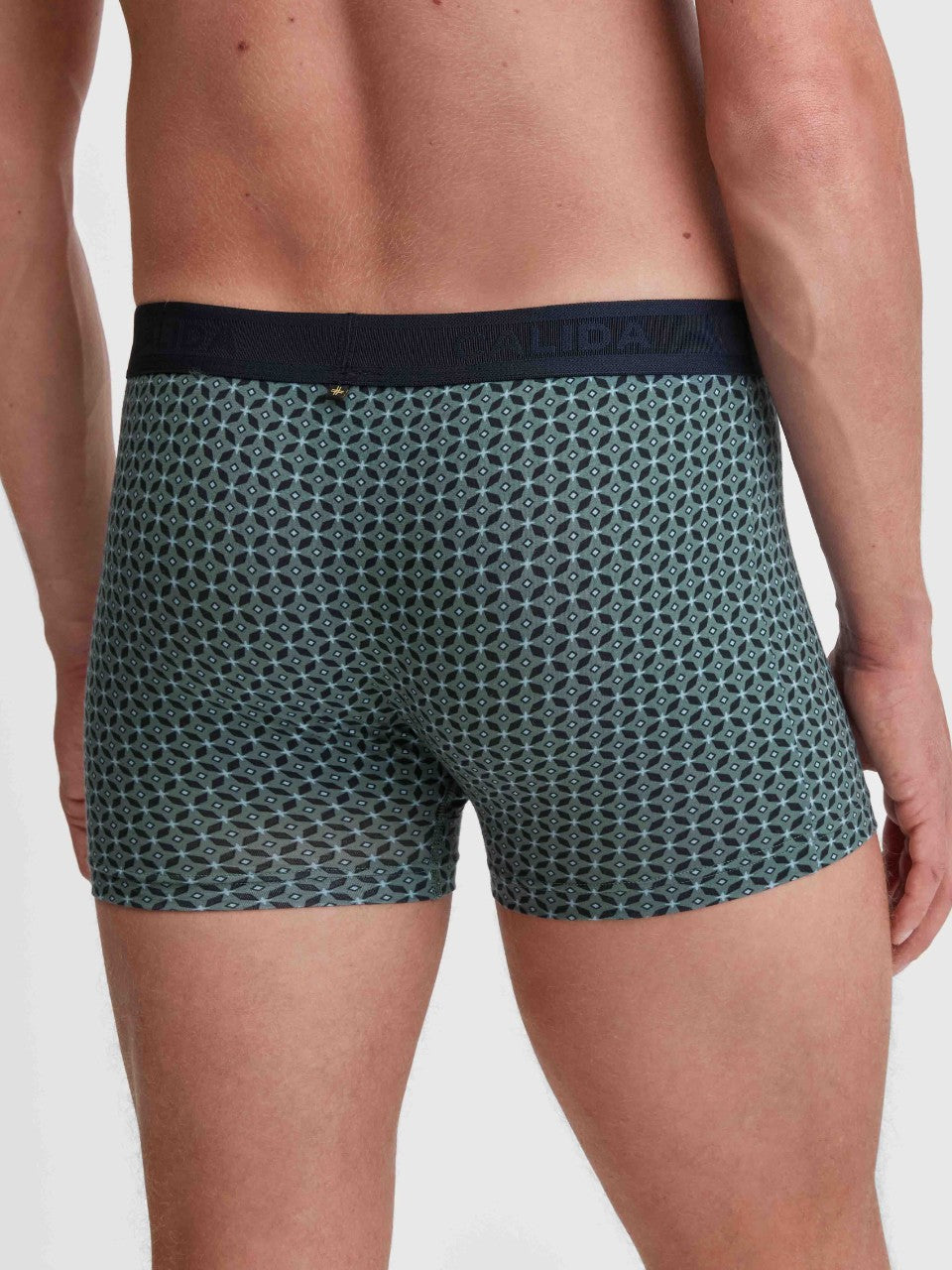Focus Trend Boxer Dark Glen
