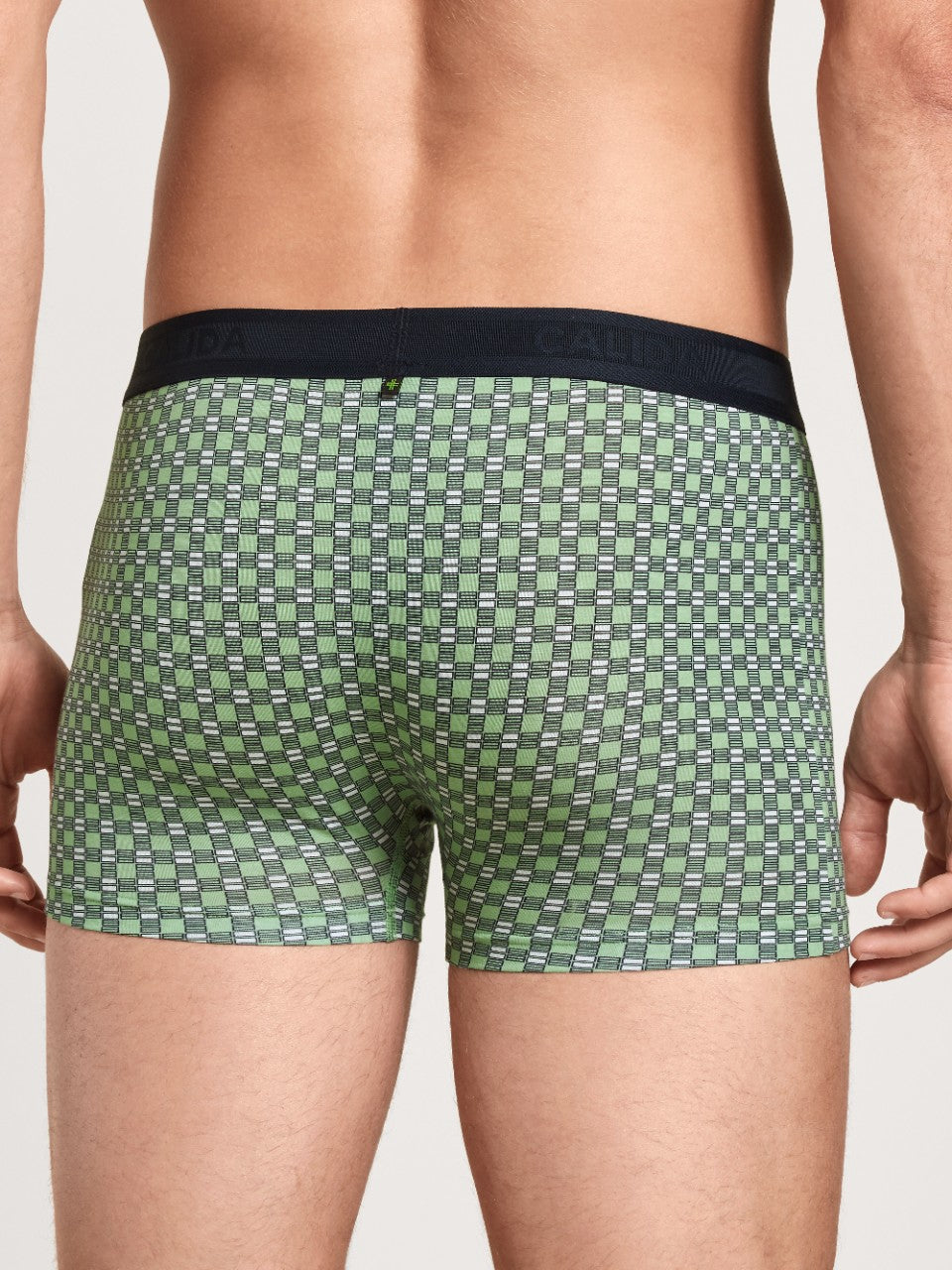 Focus Trend Boxer Iris Green