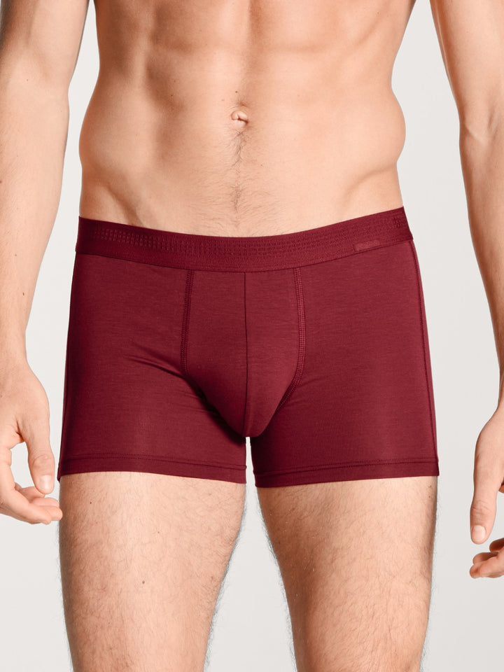 Focus Boxer Rumba Red