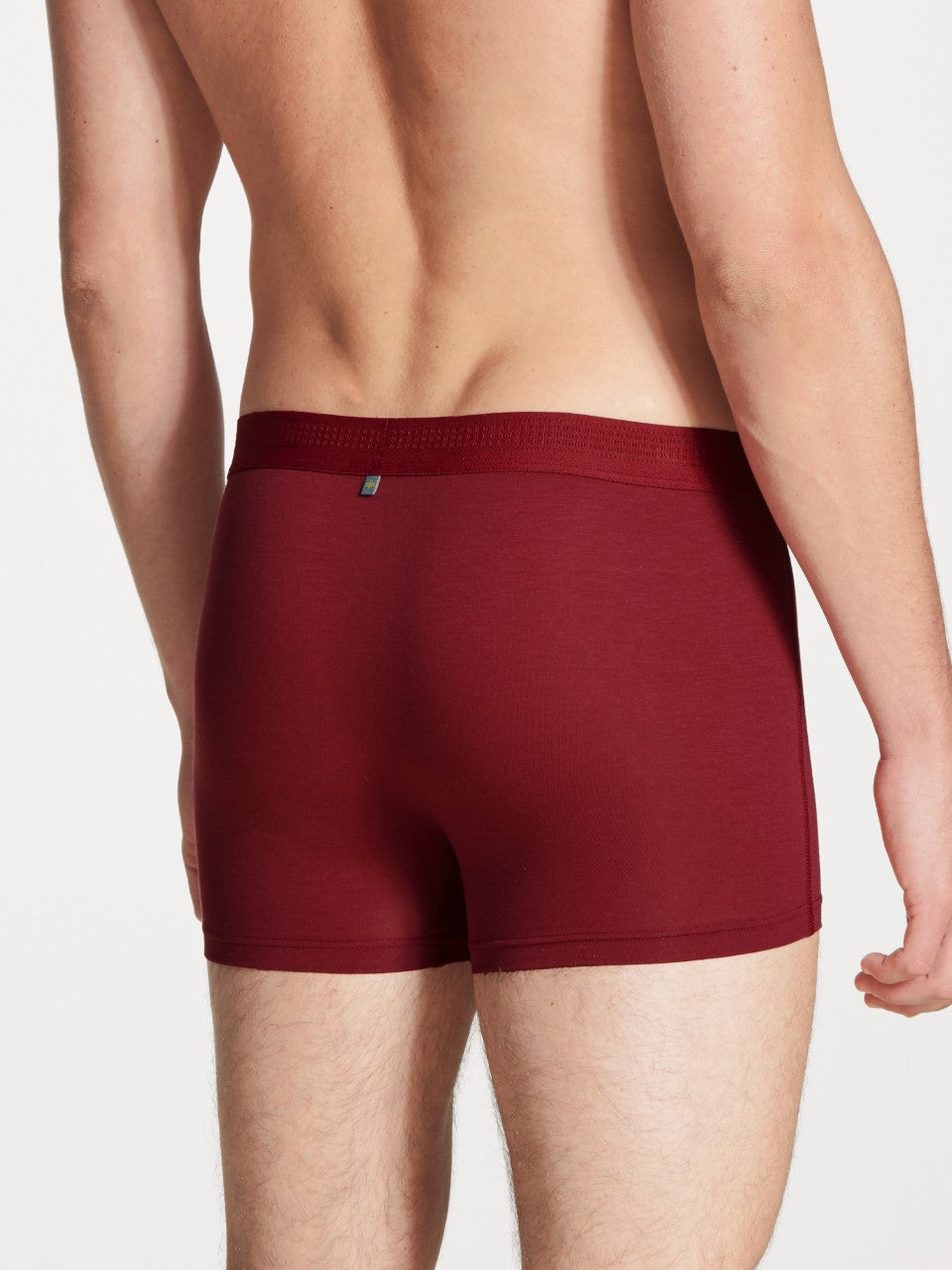 Focus Boxer Rumba Red