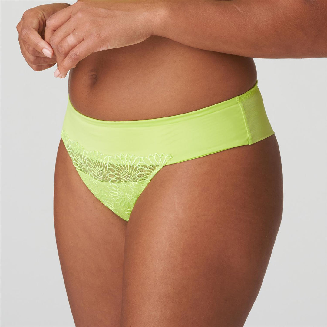 Sophora String Lime Crush