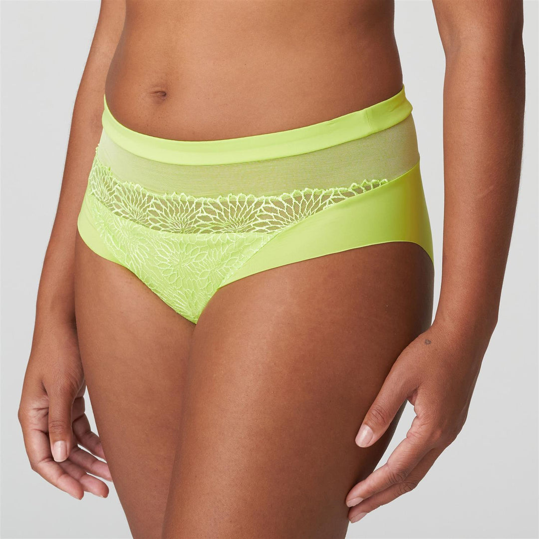 Sophora Full Brief Lime Crush